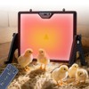 Proshine Chicken Coop Heater, 200W Chicken Heater with Remote Control,