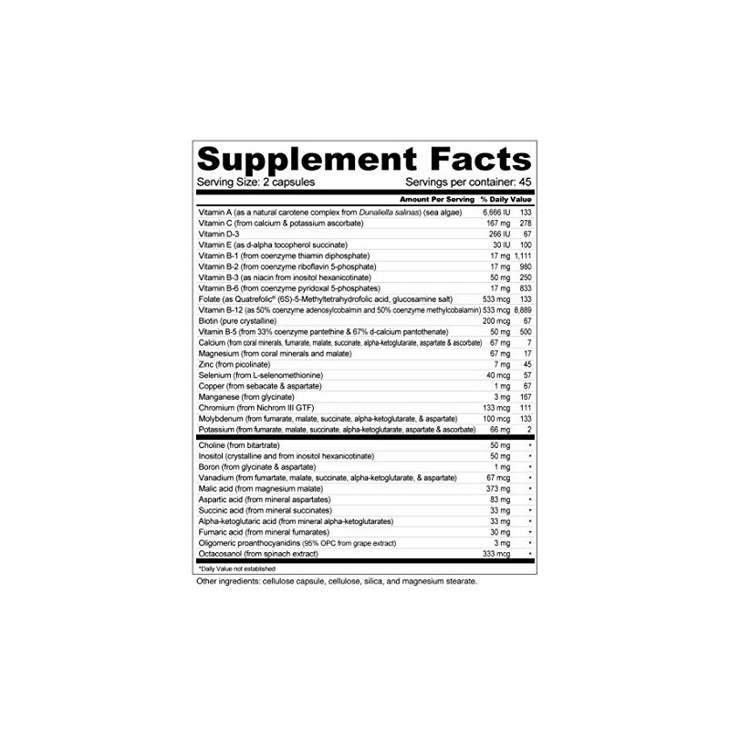 Wellness Resources Gentle Iron and Multivitamin with methylated B12 and