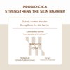 SKIN1004 MADAGASCAR CENTELLA PROBIO-CICA AMPOULE | PROBIO SHICA INTENSIVE AMPOULE