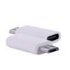 Electrónica REY Adapter Converter USB C 3.1 Female to Micro
