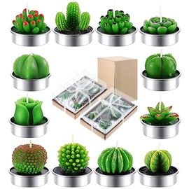 12Pcs Succulent Cactus Candles Scented Tealight Candles for Home Décor SPA Wedding Valentine's Day Birthday Gift Anniversary Celebration