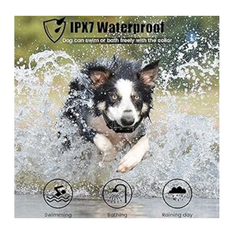 Dog Shock Collar for Large Dog - Rechargeable Dog Training