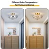 Tradetop Semi Flush Mount Ceiling Light, Gold Light Fixture Ceiling