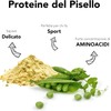 Pea Protein Powder Organic 400 g Pea Protein Powder Vegan