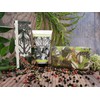 Royal Botanical Gardens, Kew Sandalwood & Pink Pepper Hand Cream,