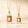 Airkeep Reed Diffuser Oil Set with Reed Sticks,Citrus Aromatherapy Oil