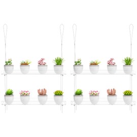 2-Pack Clear Hanging Window Plant Shelves, 2-Tier Indoor Wall Plant Stand Flower Display Organizer Storage for Microgreens,Succulents,Flower,16-Inch ﻿