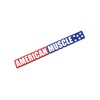 American Muscle 3 Color Windshield Banner Decal Sticker 23"