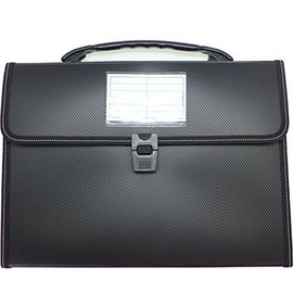 Cypress Lane Expanding File Folders with Handle, 13 Pockets, Letter Size (Black)