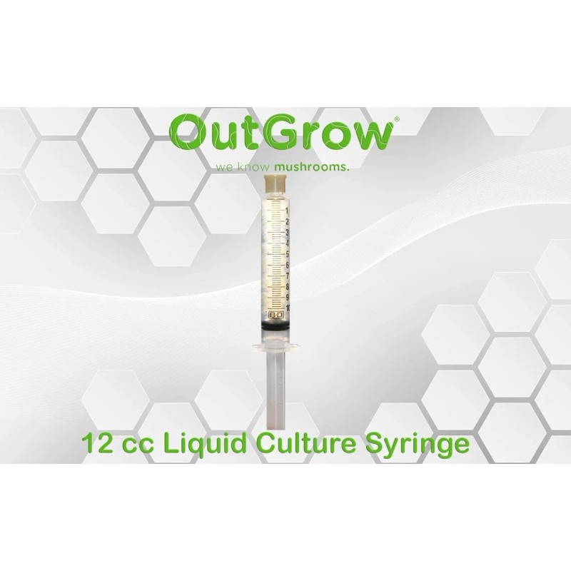 Out Grow Red-Banded Polypore (Fomitopsis pinicola) Liquid Culture