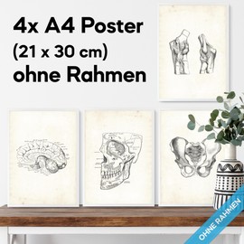 Mojoliving Anatomy Skeleton Poster Set - Vintage Pictures for Bedroom, Aesthetic Room Decor and Fitness - Model Decoration