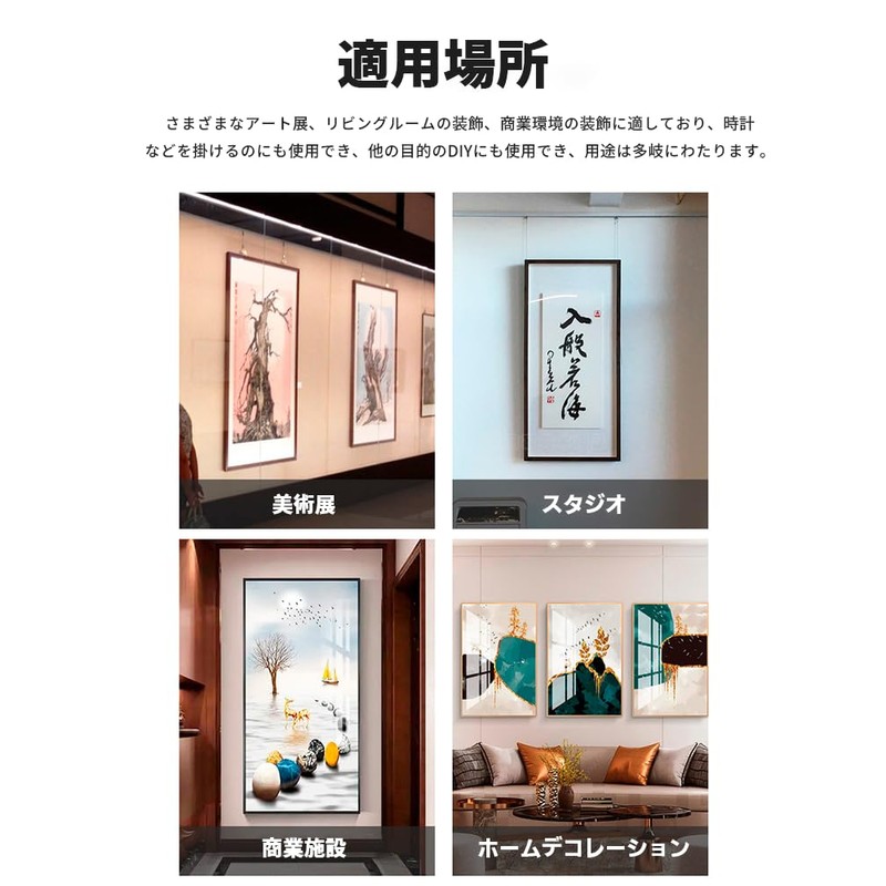 BaraRose Picture Rail Wire Wire Hook Hook Set with Free-Swinging