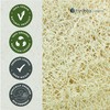 Hydréa London Organic Egyptian Loofah Luxury Exfoliating Body Pad Natural