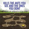 Terro Liquid Ant Killer - Fast-Acting Formula for Household Ants