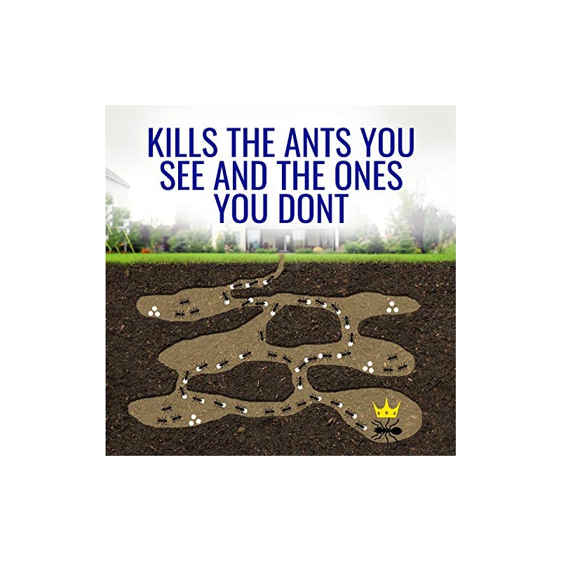 Terro Liquid Ant Killer - Fast-Acting Formula for Household Ants