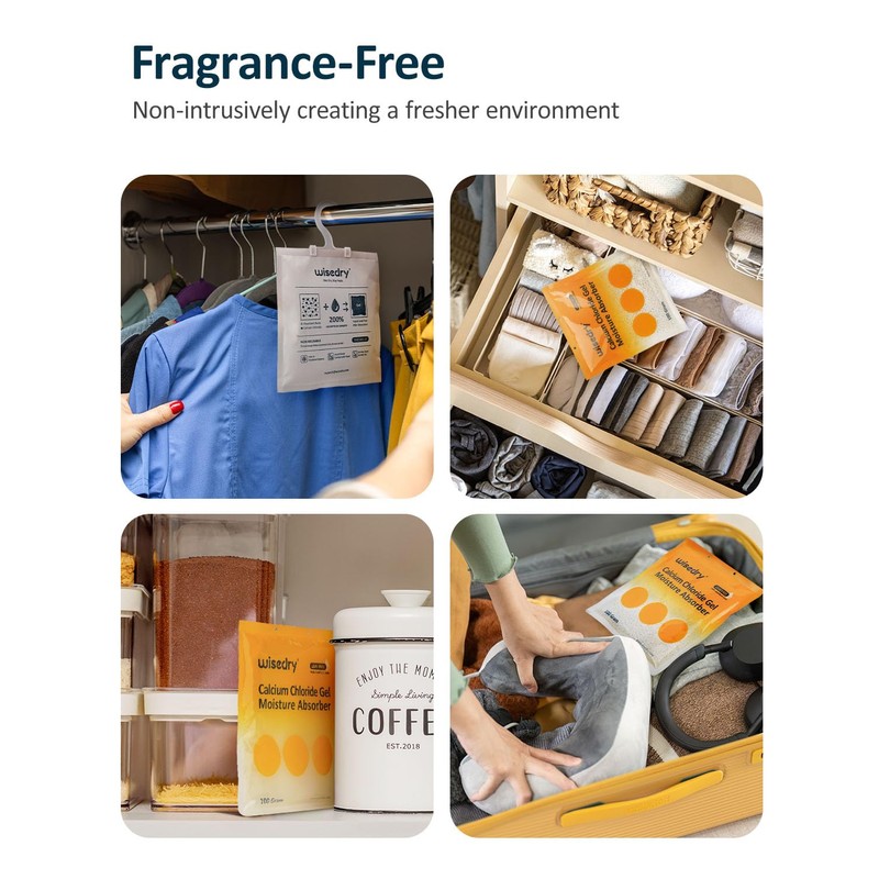 wisedry 100 Gram Moisture Absorber Packets of 10