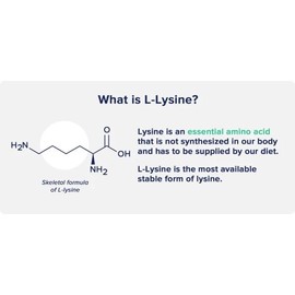 VITA PHARMA L-Lysine 1000mg 240 Tablets | Essential Amino Acid | Protein Synthesis Support | Collagen Formation Support
