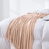 BOURINA Chenille Throw Blanket with Decorative Fringe for Couch Sofa