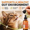 Worm Wood Natural Gut Support for Cats | Herbal Blend