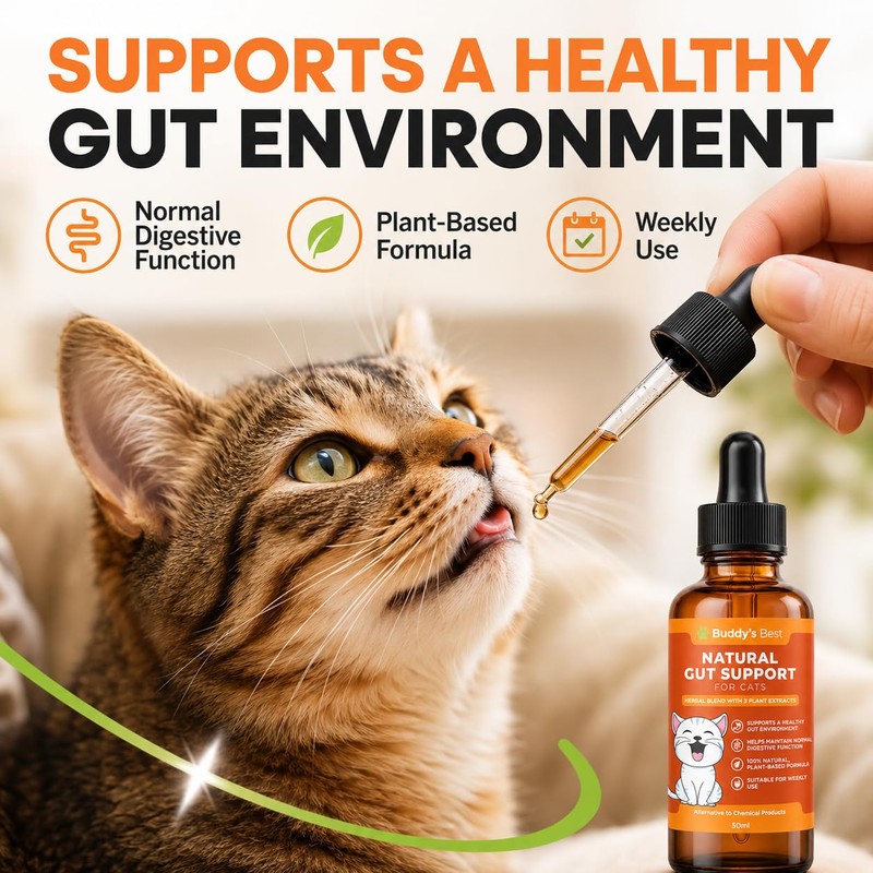 Worm Wood Natural Gut Support for Cats | Herbal Blend