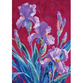 Toland Home Garden 1112684 Iris Illusion Spring Flag, Double Sided for Outdoor Summer House Yard Decoration