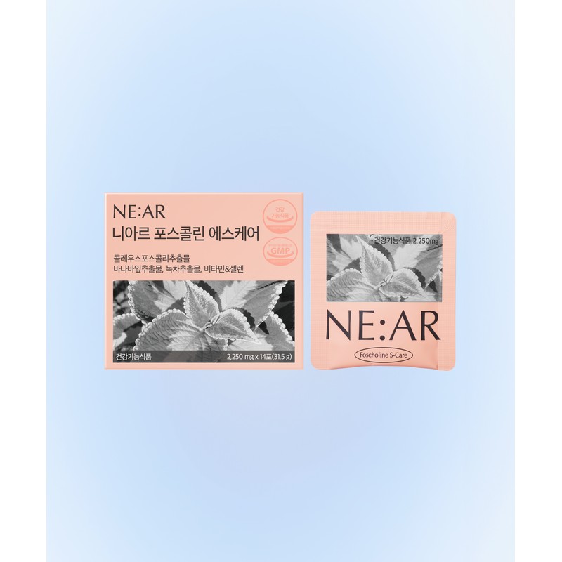 Niar 4-week Project SET