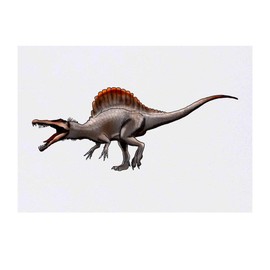 'Roaring Spinosaurus' Temporary Tattoo - Water Resistant, Skin-Safe, Non-Toxic Transfer (TO00038914)