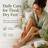 Tea Tree Foot Cream for Dry Rough Feet, Moisturizing Heel