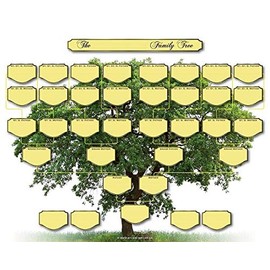 Family Tree Ancestor Chart - 5 Generations Pack of 5