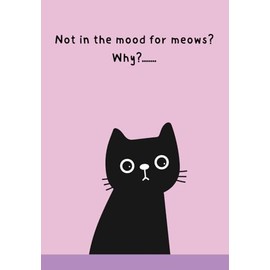 Pawsome notebooks set 2 Black cats - 05