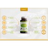 L-Lysine Capsules | Split Dose | 1000mg Serving | Easy