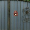 iplusmile Wood Bear Doorbell Magnetic Entrance Chime with Clear Sound