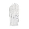 PUMA Golf Gloves Golf Super Leather Touch Gloves (Left Hand),