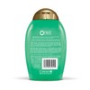 OGX Active Beauty Green Tea Fitness Shampoo, 13 Ounce (1
