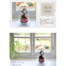 Art Four Seasons ○ Rose Eye "Glowing Rose" Firefly Pink Blue Luminous Preserved Flower