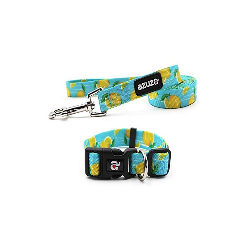 Azuza Dog Collar And Leash Set, Collar, Small Dogs, Medium-sized