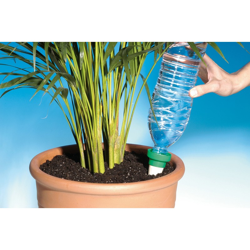 Aquasolo 10420 4 Watering Cones Medium Green