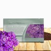 Outsidepride Lavender Fairy Primrose Seeds - 2000 Pcs Perennial, Hardy,
