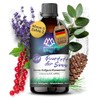 NORDHOLZ® Saunaaufguss [54 Sorten 15ml, 100ml, 250ml] - Sauna Aufgussmittel