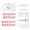 DANNI & TONI Semi Cured Gel Nail Strips (Rosy Cheeks)
