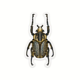 Goliath Beetle Sticker, Clear Vinyl Insect Decal, Entomology Sticker, Bug Decal