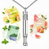 BOLAGTIER Breathing Necklace Stop Smoking Aid with Flavor Filter (Silver)
