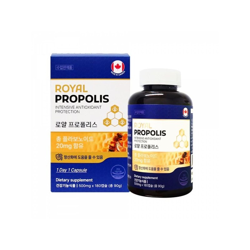 로얄 프로폴리스캡슐 플라보노이드 프로 플로 폴리스 500mgX180캡슐X1통 Royal Propolis Capsule