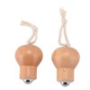 2PCS Facial Massage Roller with Lanyard Cold and Hot Use