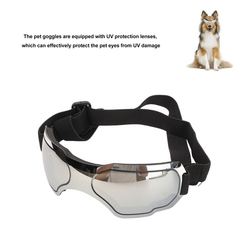 Dog Goggles Wind and UV Protection Pet Glasses Dustproof Sunglasses