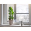 Reality Leuchten Gral R59521007 Table Lamp, Metal, Nickel, 9.0 x