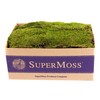 SuperMoss (21508) Preserved Sheet Moss, Fresh Green, 5 Pounds