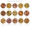 Tea Forte Single Steeps Loose Leaf Tea Sampler, Assorted Variety