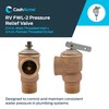 Cash Acme 3/4 Inch RV FWL-2 Pressure Relief Valve, Bronze,