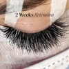London Lash London Lash Superbonder Sealant - 15ml Eyelash Extension